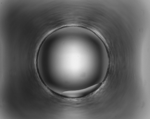 X0000088911197200706081336