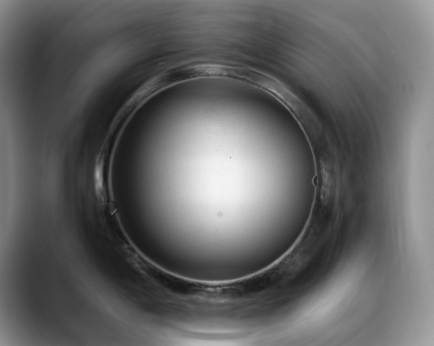 X0000088911198200706081336