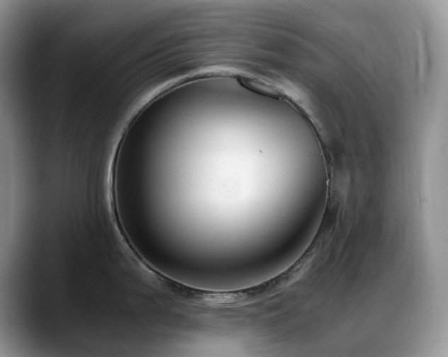 X0000088911199200706081336