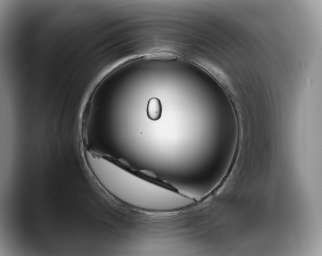 X0000088911200200706081336