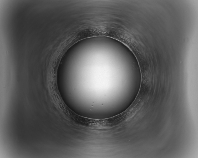 X0000088911201200706081335