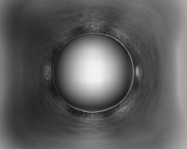 X0000088911203200706081335