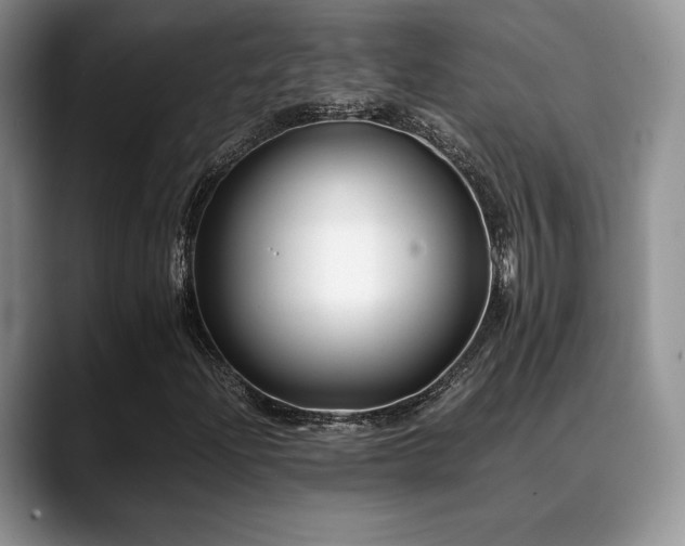 X0000088911204200706081335