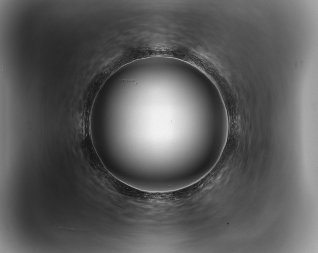 X0000088911205200706081335