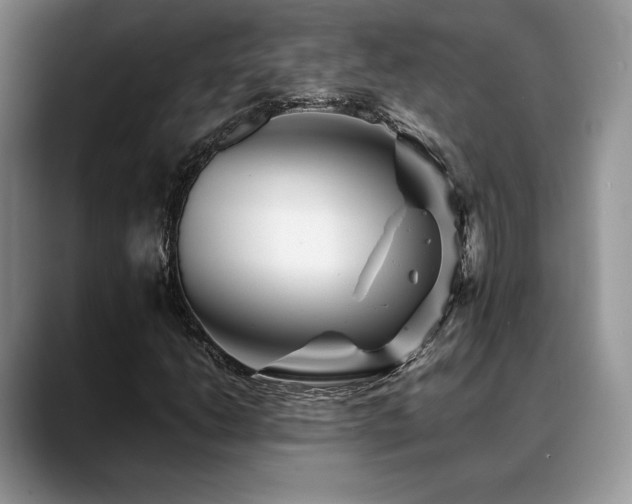X0000088911206200706081335