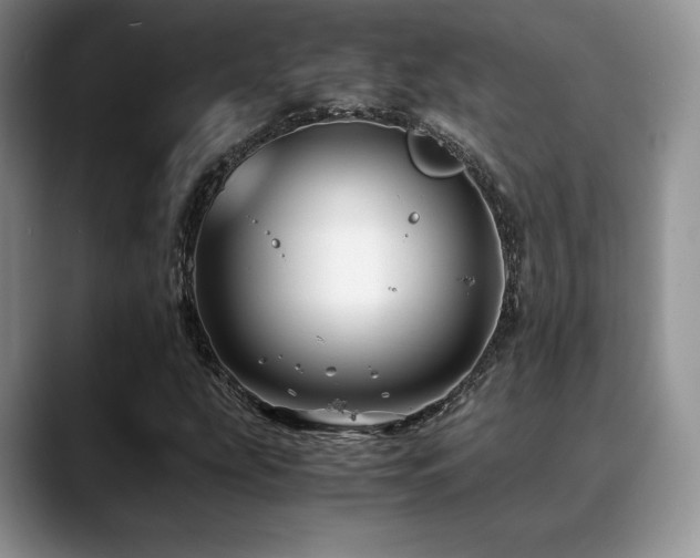 X0000088911207200706081335