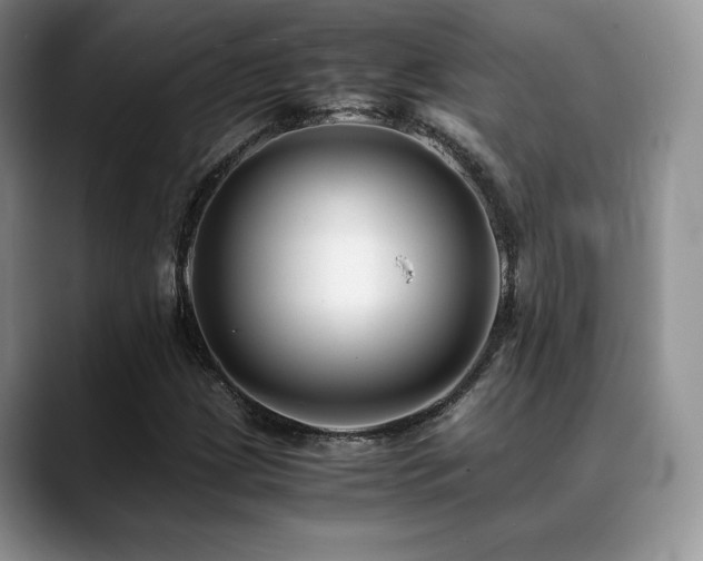 X0000088911209200706081335