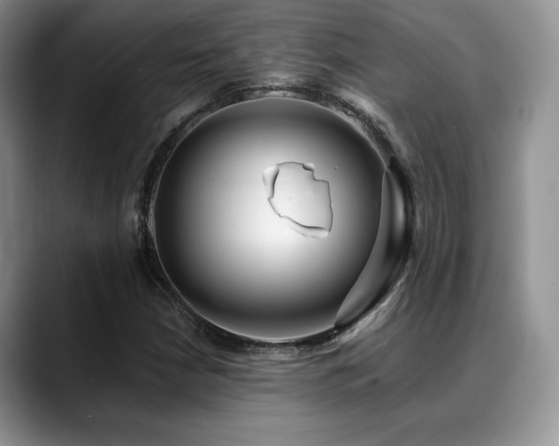 X0000088911210200706081335