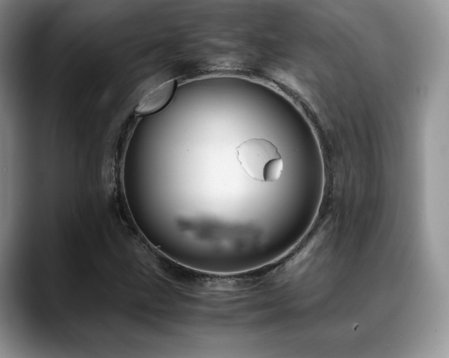 X0000088911211200706081335