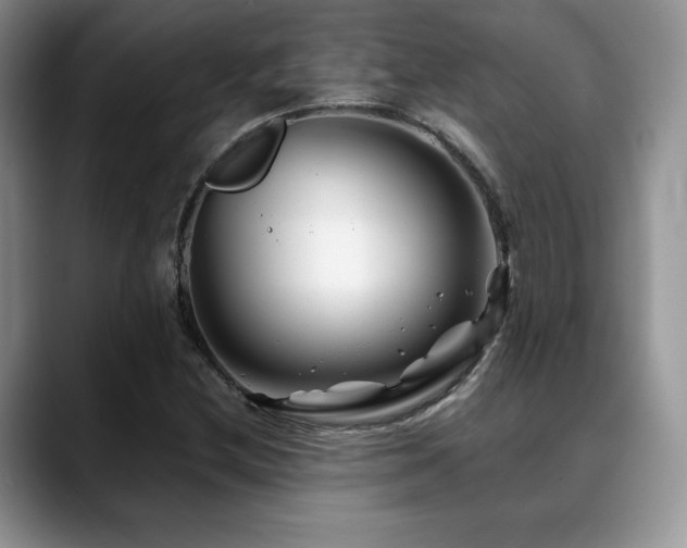 X0000088911212200706081335