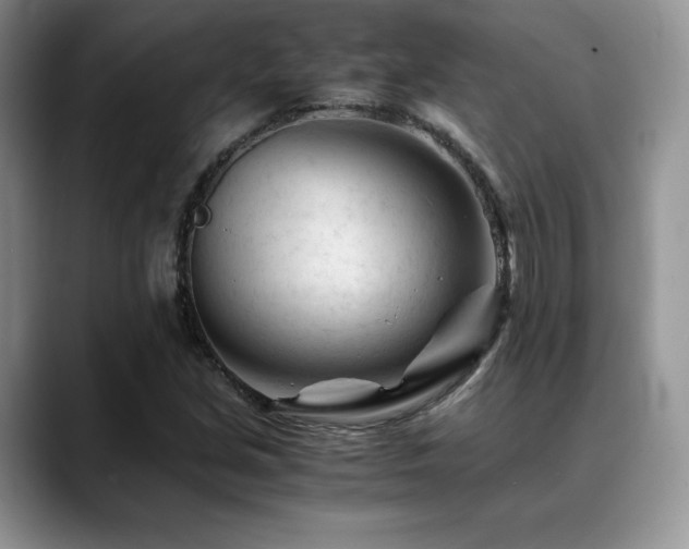 X0000088911213200706081335