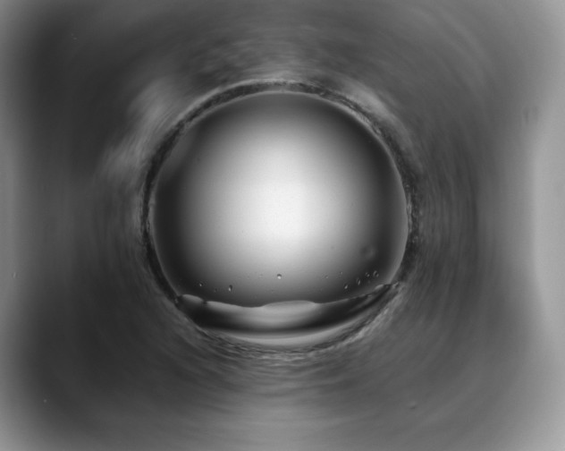 X0000088911216200706081335