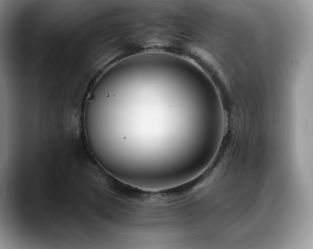 X0000088911217200706081335