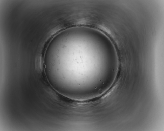 X0000088911219200706081335