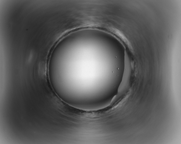 X0000088911220200706081335