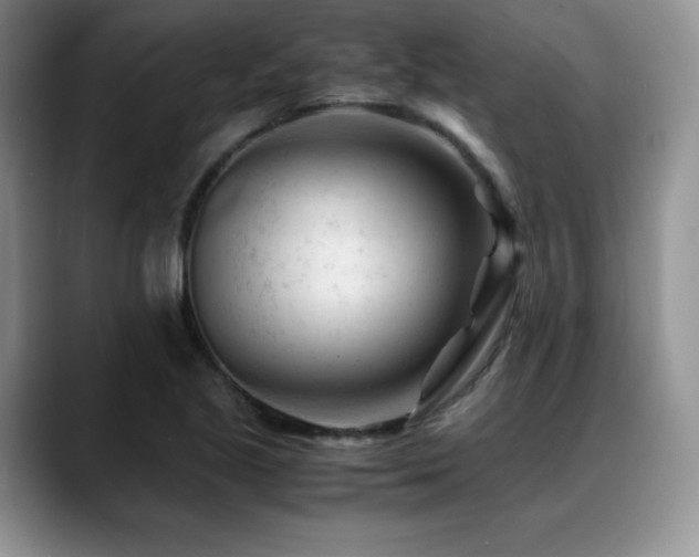 X0000088911221200706081335