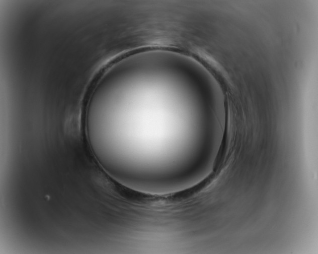 X0000088911222200706081335