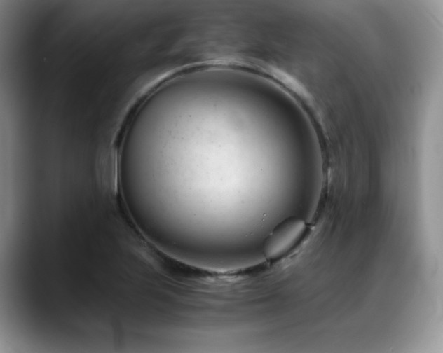 X0000088911223200706081335