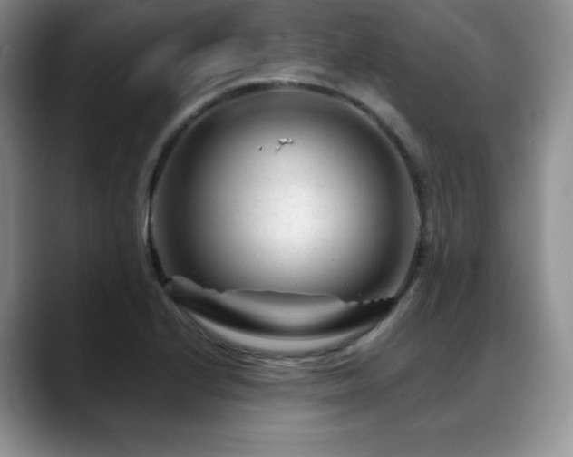 X0000088911224200706081335