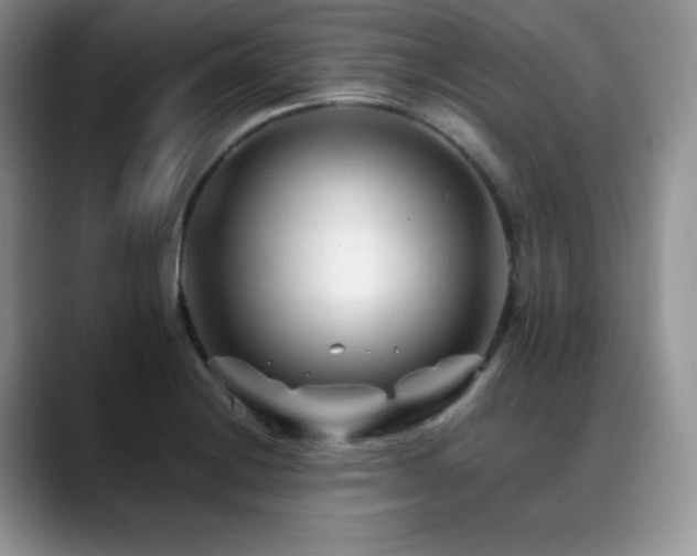 X0000088911228200706081335