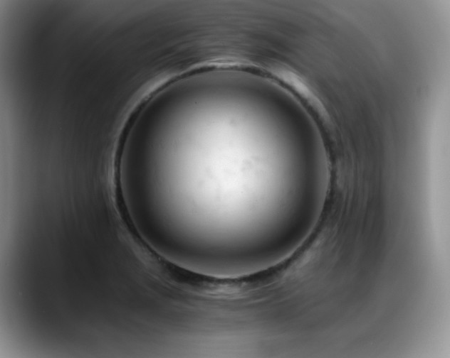 X0000088911229200706081335