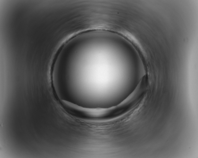 X0000088911230200706081335