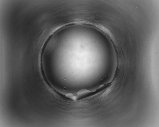 X0000088911231200706081335