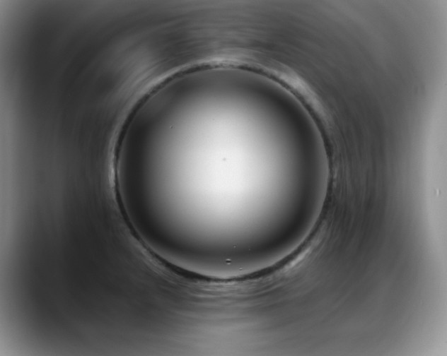 X0000088911232200706081335