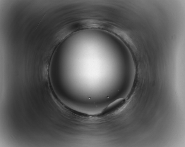 X0000088911233200706081335
