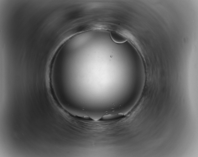 X0000088911235200706081335