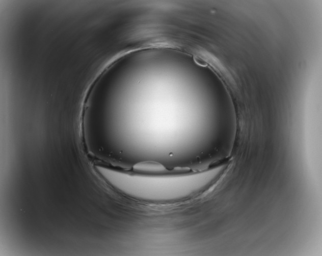 X0000088911236200706081335