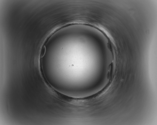 X0000088911237200706081335