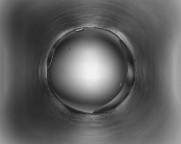 X0000088911238200706081335