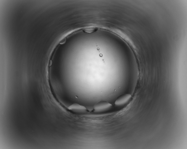 X0000088911239200706081336