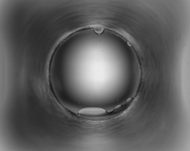 X0000088911240200706081336