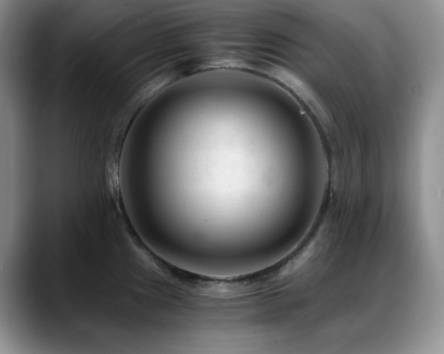 X0000088911241200706081336