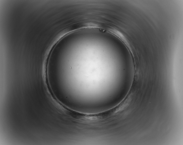 X0000088911243200706081336