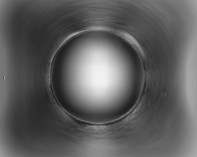 X0000088911244200706081336