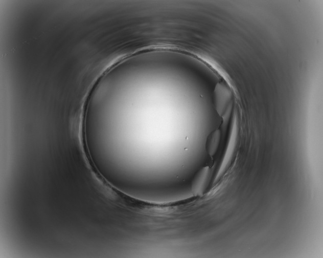 X0000088911245200706081336