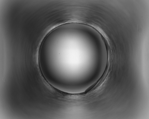 X0000088911246200706081336