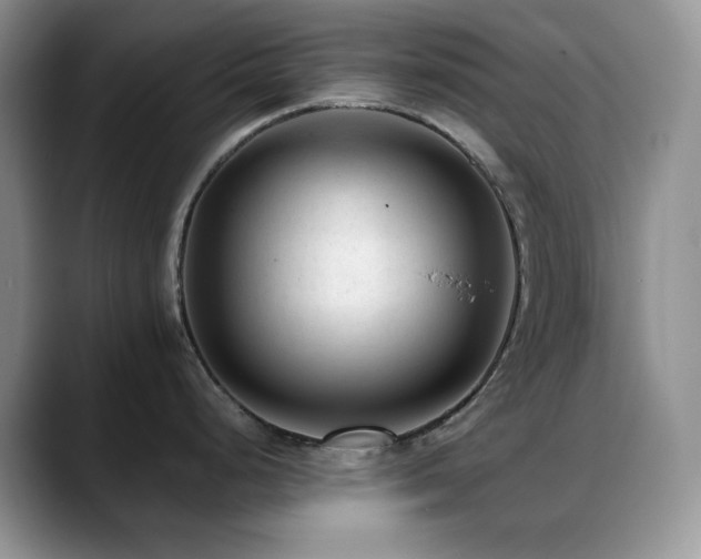 X0000088911248200706081336