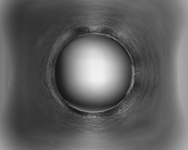 X0000088911249200706081335