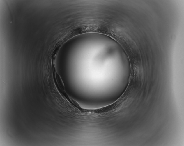 X0000088911250200706081335