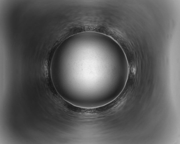 X0000088911252200706081335