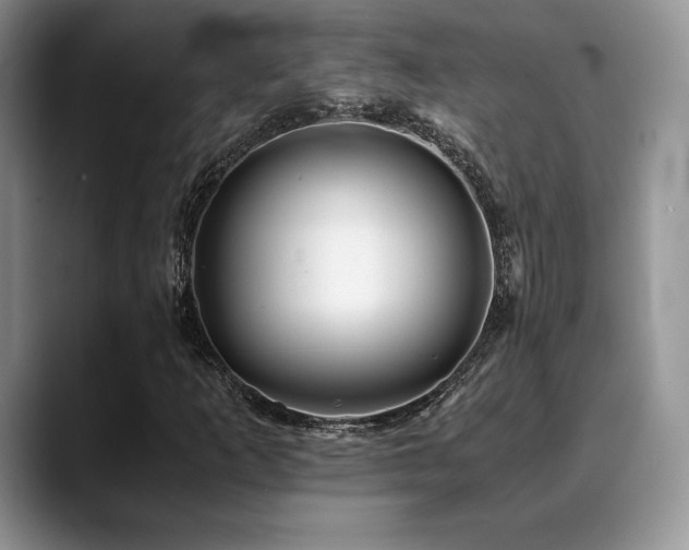 X0000088911253200706081335