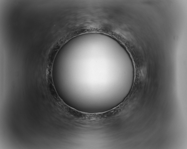 X0000088911254200706081335