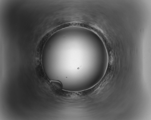 X0000088911255200706081335