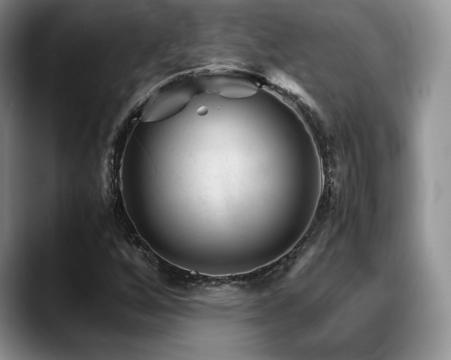 X0000088911256200706081335