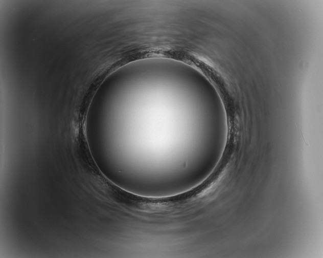 X0000088911257200706081335