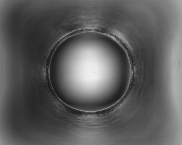 X0000088911260200706081335